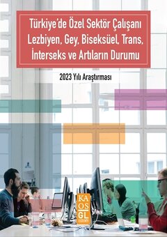 Türkiye’de Özel Sektör Çalışanı LGBTİ+'in Durumu 2023 Yılı Araştırması