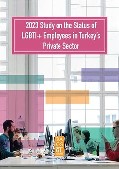 2023 Study on the Status of LGBTI+ Employees in Turkey’s Private Sector