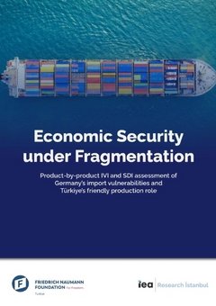 Economic Security under Fragmentation