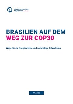 Brasilien auf dem Weg zur COP30
