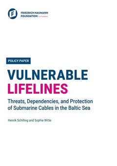 Vulnerable Lifelines