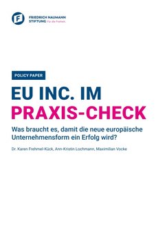 EU INC. IM PRAXIS-CHECK