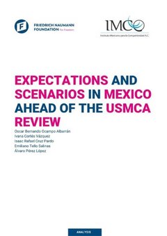 Expectations and Scenarios in Mexico Ahead of the USMCA Review