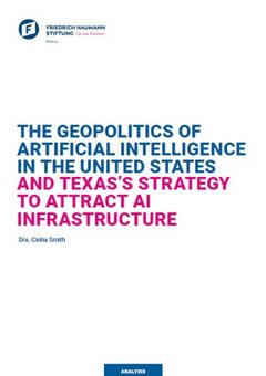The Geopolitics of AI in the United States and Texas’s Strategy