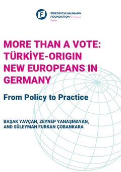 More Than a Vote: Türkiye-Origin New Europeans in Germany