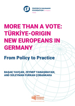 More Than a Vote: Türkiye-Origin New Europeans in Germany