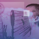 Der Fake  der Netzgemeinde