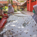 Kleinstunternehmerinnen in Indonesien