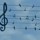 Living Freedom Songwriting Contest