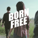 Living Freedom Born Free