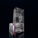 FNF Africa Freedom Prize