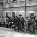 How to Counter Antisemitism? (Still image from the educational video)