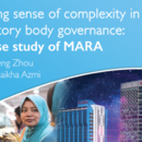 Making Sense of Complexity in Statutory body gov : A Case of MARA