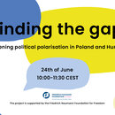 Minding the gap: Deepening polarisation in Poland and Hungary