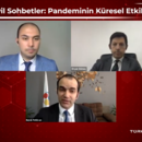 Türkonfed Webinar