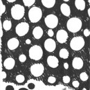 Diversity' sketch made by Akhtar Shah/ Shahtoon during the webseries in 2020