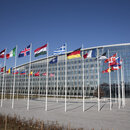 NATO's HQ