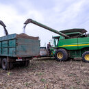 A Ukrainian farmer on a combine unloads harvested sunflower seeds onto a truck near Zaporiz'ke