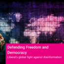 Disinformation Event