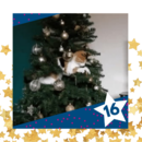 IAF Advent #16