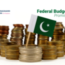Pakistan Federal Budget 2024-25 Aneel Salman