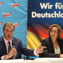 AfD