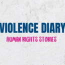 Violecne Diary Cover