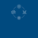 Äußere Sicherheit & Verteidigung