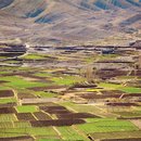 agriculture resilience 