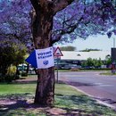 Voting South Africa