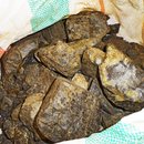 Coltan