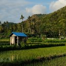 Photo by Matt Johnson on Unsplash