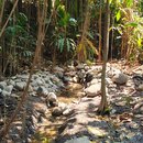 A photograph of the restored belik (small spring) in Grojogan, Author 2026,