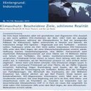 Indonesien: Klimaschutz: Bescheidene Ziele, schlimme Realität