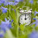 Hat die Sommerzeit ausgedient? 