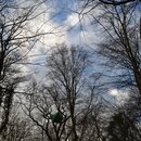 Waldsiedlung im Hambacher Forst