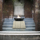 Africa Freedom and Covid-19 Survey