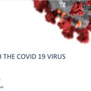 Covid19 Serbia, Economics