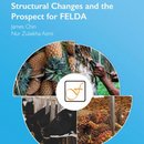 Structural Changes and the Prospect for FELDA