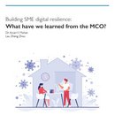 Building SME digital resilience: What have we learned from the MCO?