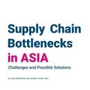 Supply Chain Bottlenecks in Asia