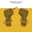 The Cost of Freedom of Expression in Turkey: 299 Years, 2 Months And 24 Days