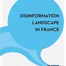 Disinformation Landscape in France
