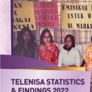 Telenisa Statistics and Findings 2022