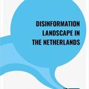 Disinformation Landscape in the Netherlands