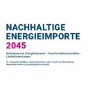 Nachhaltige Energieimporte 2045