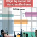 Türkiye’de Özel Sektör Çalışanı LGBTİ+'in Durumu 2023 Yılı Araştırması