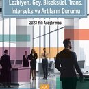 Türkiye’de Kamu Çalışanı LGBTİ+'ın Durumu 2023 Yılı Araştırması