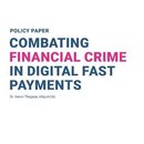 Combating Financial In Digital Fast Payments