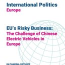 EU’s Risky Business: